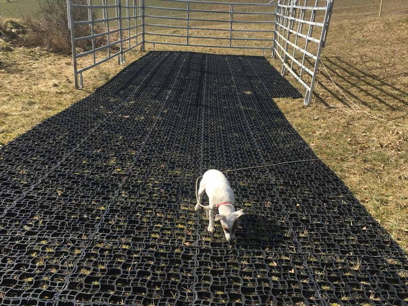 Mit dem Bodengitter BG30 einen befestigten Unterboden schaffen