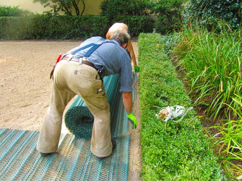Rasennetz zur Rasenverstärkung eines Rasenparkplatz aus Rollrasen