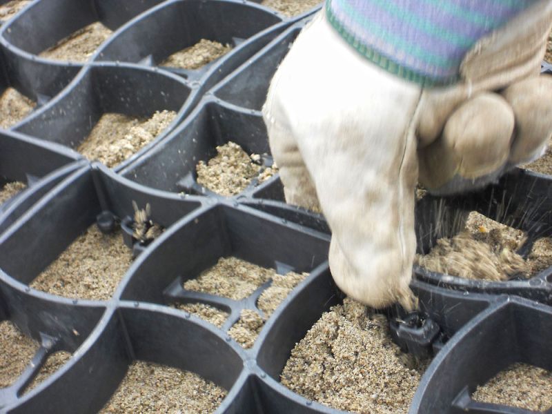 Verlegung des Bodengitter BG50 für die Herstellung eines neuen Reitplatz