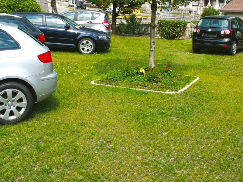 Stabilisierung eines Rasen mit der Rasenwabe RW40 für einen Parkplatz