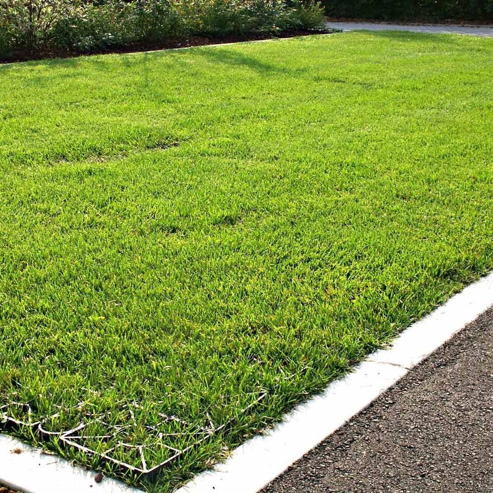 Rasengitter RG24 · 0,25 m² · 500 x 500 x 24 mm · 1,00 kg · Belastbar bis ca. 100 t/m² · On-Top Verlegung ohne Unterbau · Rasenbefestigung
