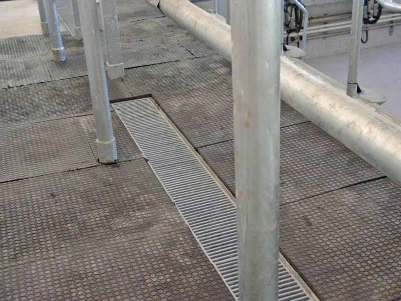 Bodenmatte aus Weich-PVC als Kuhmatte für Lauf,- Steh,- Liegeflächen in der Viehhaltung