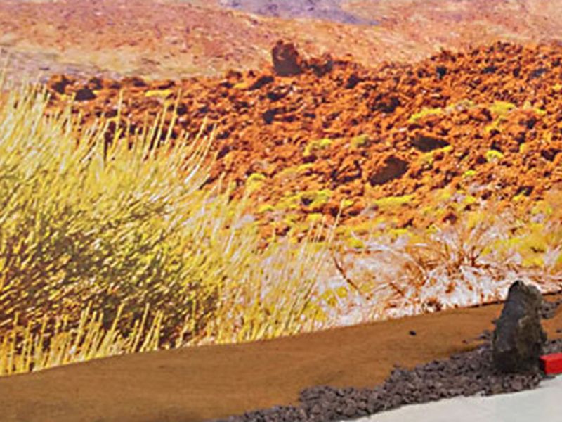 Böschungsmatte Kokos BMK350 mal anders eingesetzt