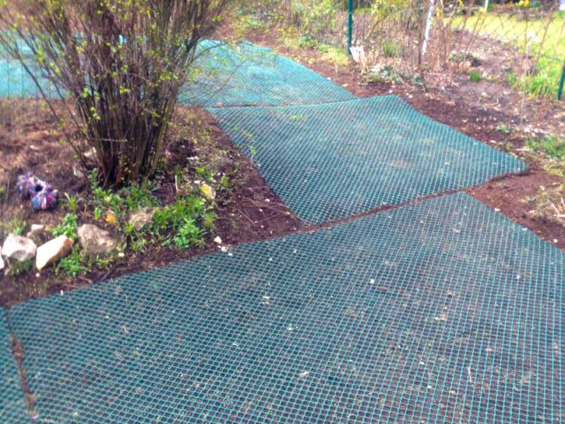 Rasennetz RN640 als Wühlschutz / Buddelschutz für die Haustierhaltung im Garten