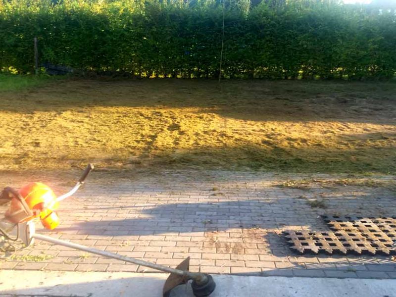 Parkplatzrasen mit dem Rasengitterstein RGS35 aus Kunststoff statt Schotterrasen