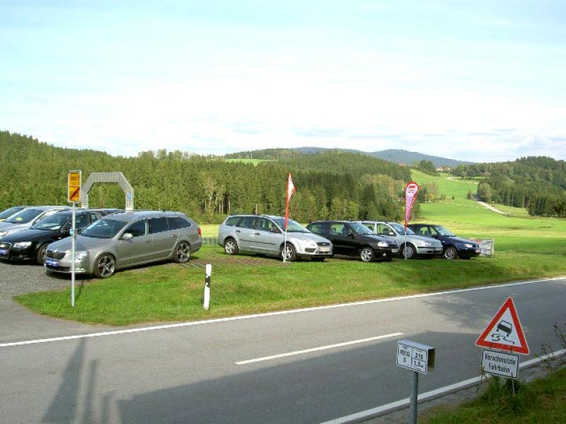 Rasennetz RN zur Rasenverstärkung der Ausstellungsfläche eines Autohauses