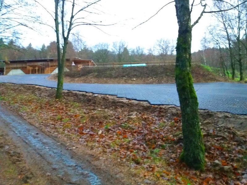 Großflächige Bodenbefestigung mit Paddockplatten PP60 in naturnaher Umgebung