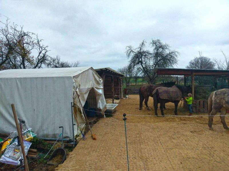 Matsch & Schlamm Ade. Das Paddock versinkt im Matsch, Pferde stehen im Schlamm. Das muss nicht sein, Bodengitter und Trennvlies von Securatek lösen das Problem!