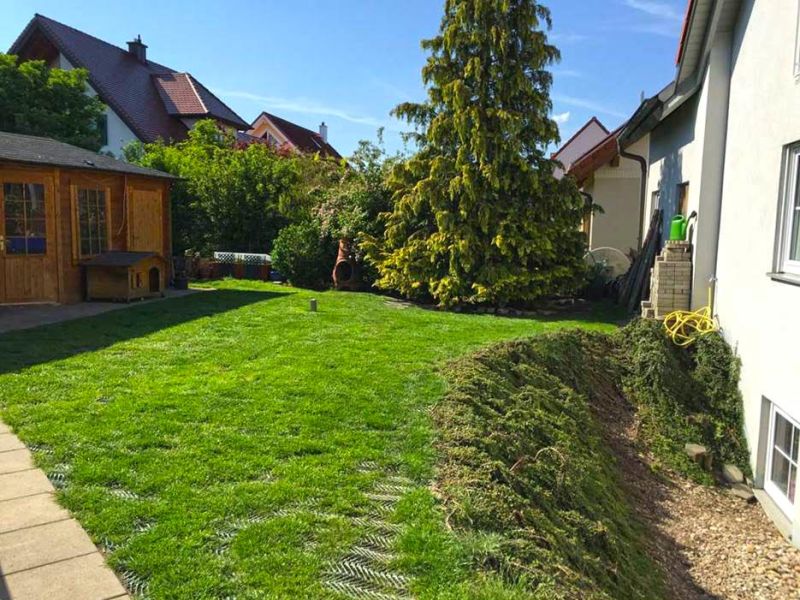Rasennetz RN1800 Rasenschutz Rasenbefestigung Hunde 001 referenz