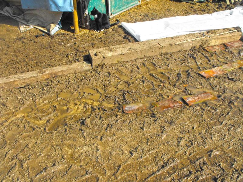 Verlegung des Bodengitter BG30 ohne Unterbau zur Herstellung eines Paddock