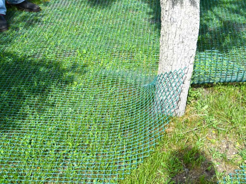 Wühlschutz und Buddelschutz für Hunde im Garten mit dem Rasennetz RN450