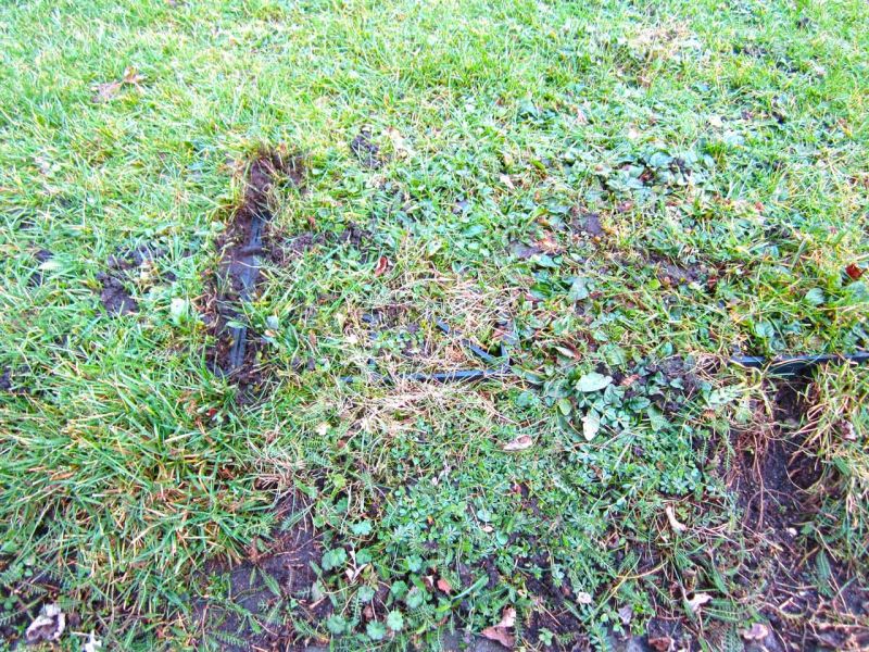 Rasengitter RG24 als nicht sichtbare Rasenverstärkung einer Nutzfläche