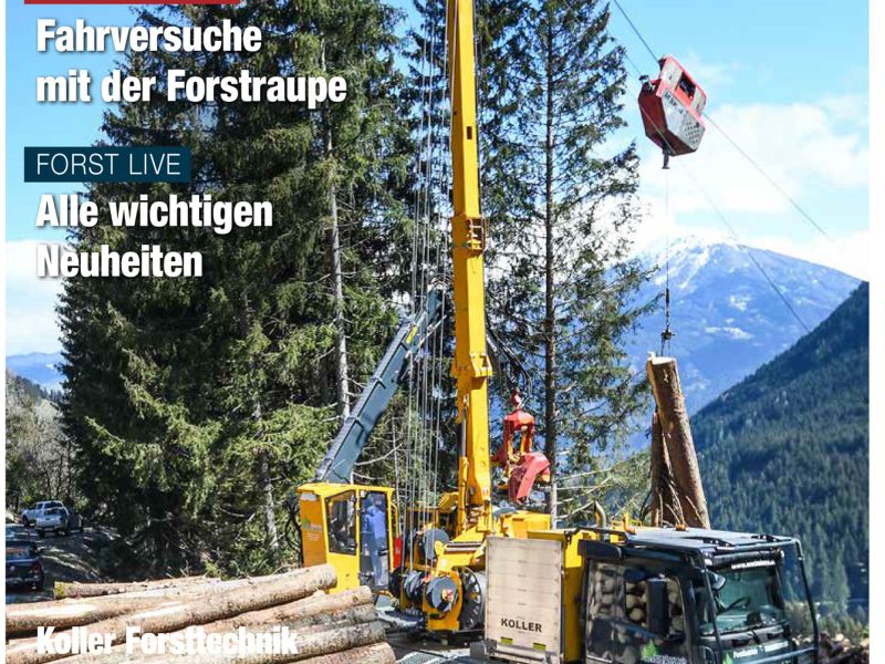 Bericht über den wissenschaftlich angelegten Test unser Bodenschutzplatten in der Waldarbeit