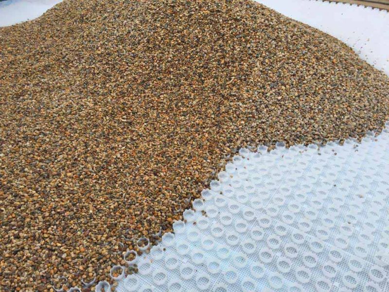 Moderne Umgestaltung: Steingarten & Carporteinfahrt mit stabilisiertem Kies