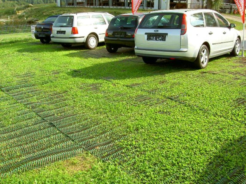 Rasennetz RN zur Rasenverstärkung der Ausstellungsfläche eines Autohauses