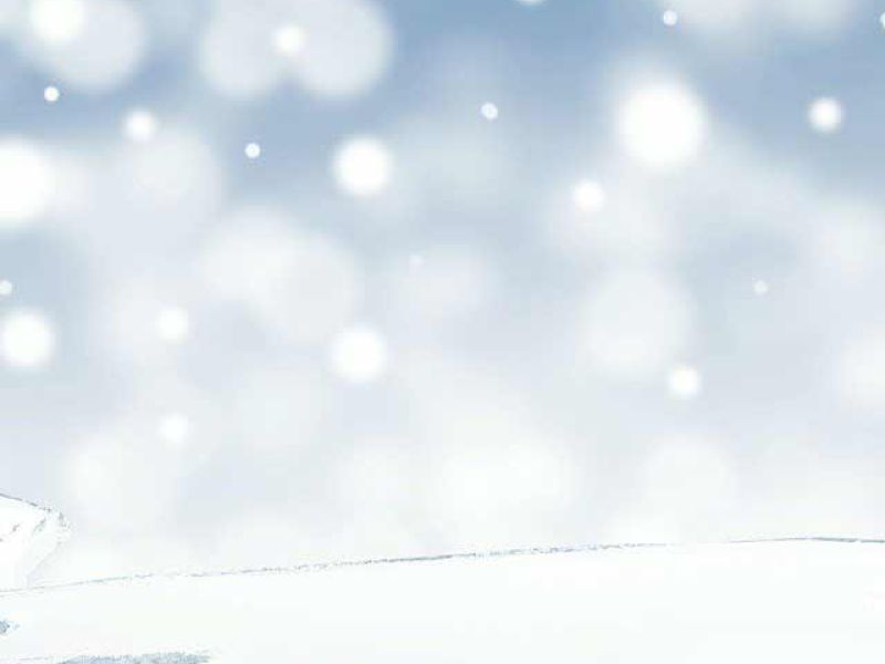 Aus diesem Grund verabschieden wir uns ab dem 23.12.2022 in den Betriebsurlaub und sind ab dem 02.01.2023 wieder wie gewohnt für Sie zu erreichen.