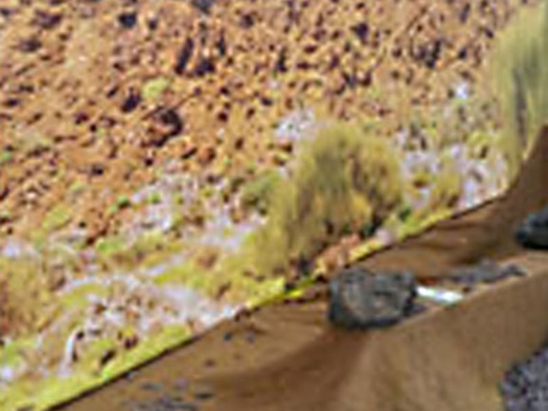 Böschungsmatte Kokos BMK350 mal anders eingesetzt