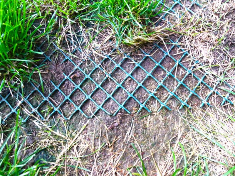 Sie möchten nicht das ihre Hunde im Garten den Rasen durchwühlen od. buddeln? Sie wollen das der Rasen ohne Löcher ist? Dann ist das Rasennetz RN zu empfehlen!