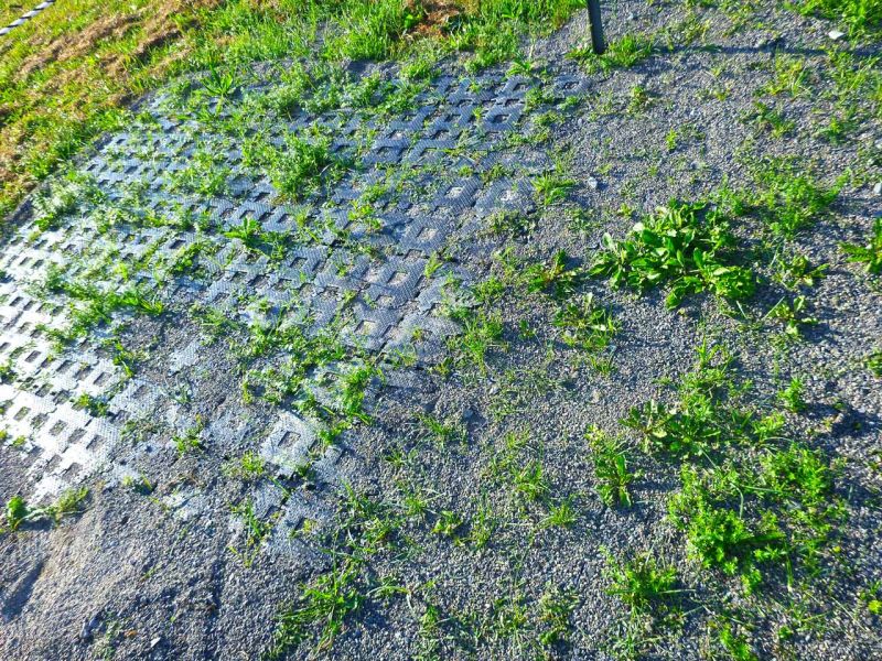 Bodenbefestigung eines Pferdeauslauf mit Weidezelt und Futterplatz