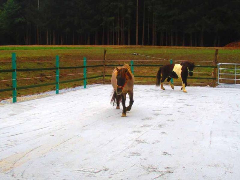 Verlegung von Paddockplatten für ein Paddock für Island-Pferde