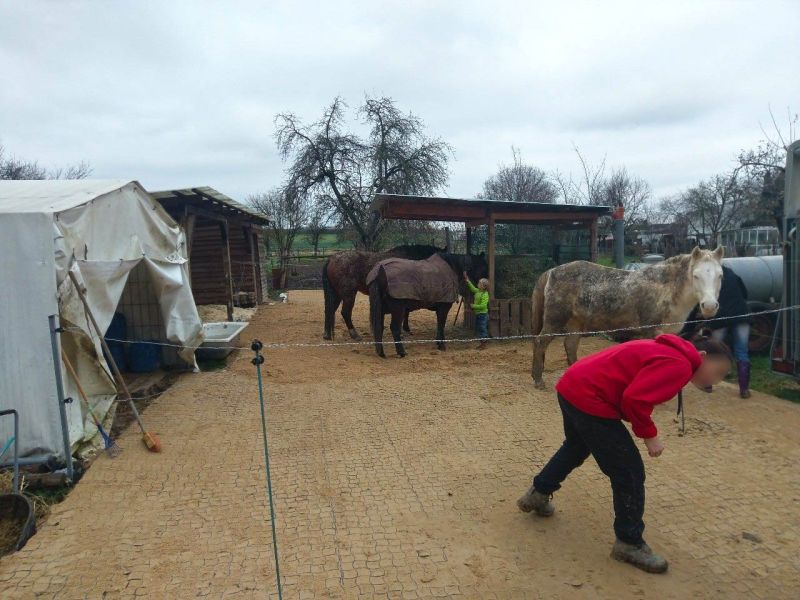 Matsch & Schlamm Ade. Das Paddock versinkt im Matsch, Pferde stehen im Schlamm. Das muss nicht sein, Bodengitter und Trennvlies von Securatek lösen das Problem!