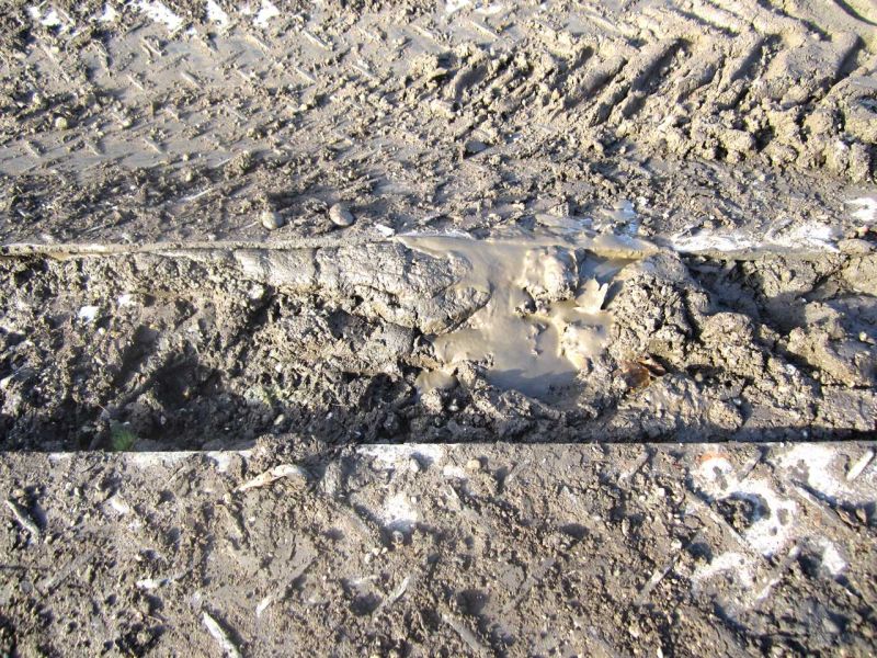 Fahrplatten als Hilfe zur Teichentschlammung