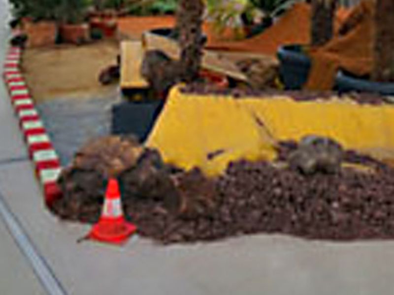 Böschungsmatte Kokos BMK350 mal anders eingesetzt