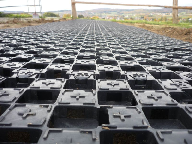 Paddockplatte pp60 für ein Profi Pferde paddock