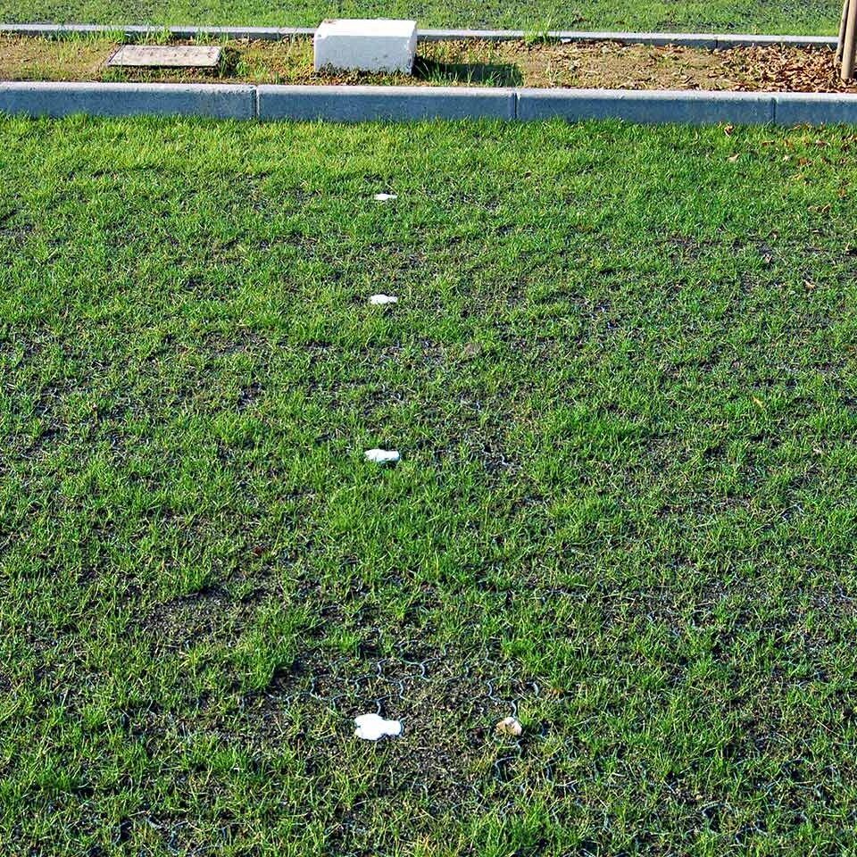 Rasenwabe RW40 Grün · 0,25 m² · 500 x 500 x 40 mm · 350,0 t/m² · 0,80 kg · 1,00mm Profilierung · 16 Kopplungen · On-Sub Verlegung · Drainage