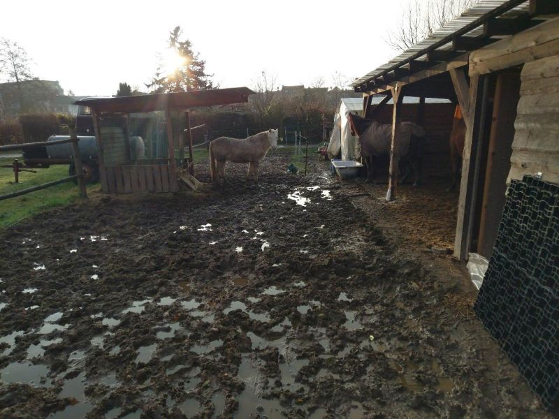 Matsch & Schlamm Ade. Das Paddock versinkt im Matsch, Pferde stehen im Schlamm. Das muss nicht sein, Bodengitter und Trennvlies von Securatek lösen das Problem!
