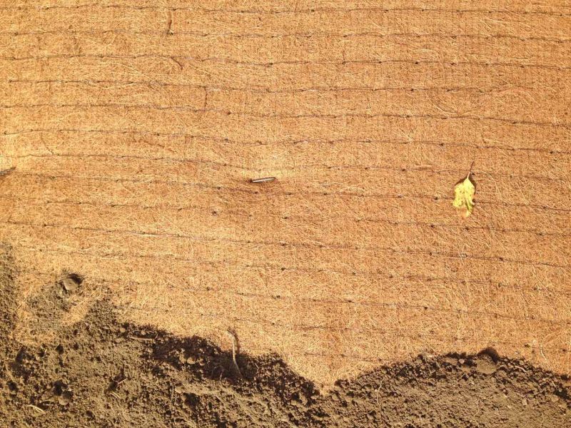 Verlegung der Mulchmatte Kokos MMK600 aus Kokos zur Hangbefestigung