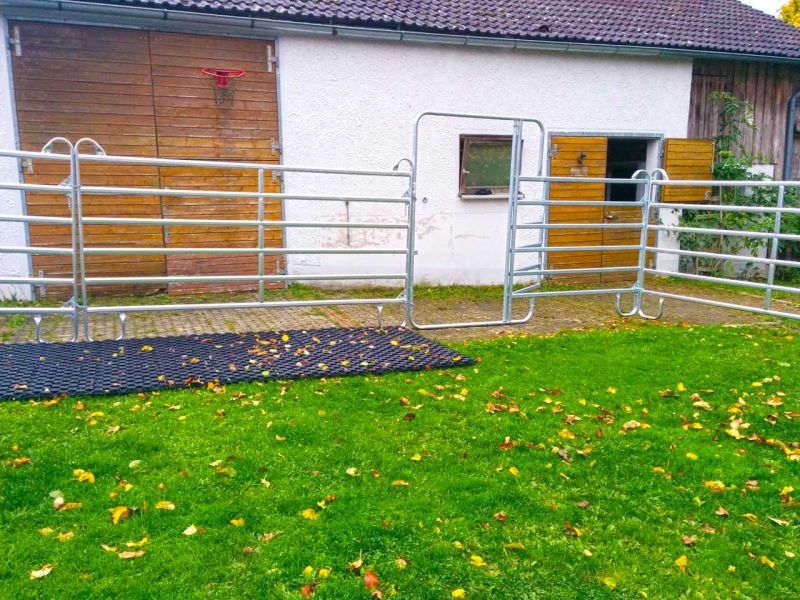 Verwandlung von 80m² Rasenfläche in ein matschfreies Pferdepaddock