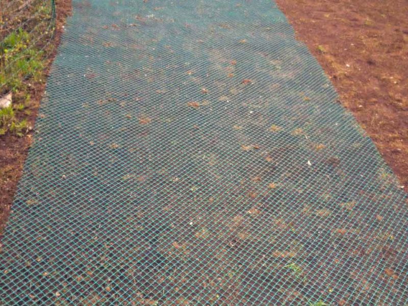 Rasennetz RN640 als Wühlschutz / Buddelschutz für die Haustierhaltung im Garten