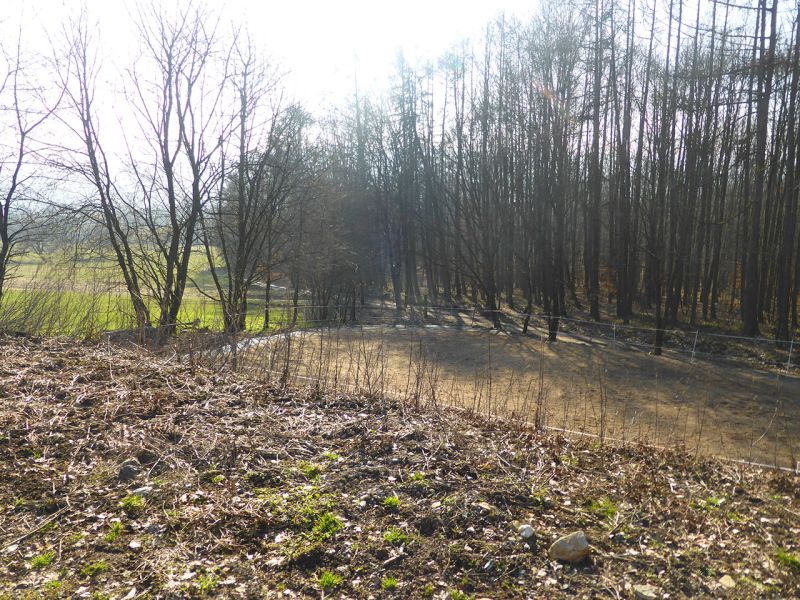 Update zu unserem Artikel "Befestigter Freilauf bei einer Pferdepension mit der Paddockplatte PP60"