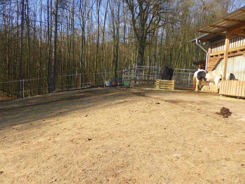 Update zu unserem Artikel "Befestigter Freilauf bei einer Pferdepension mit der Paddockplatte PP60"