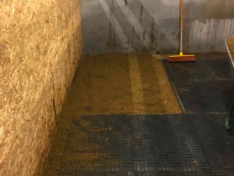 Stallmatten zur Verbesserung des Stallklima und Vereinfachung der Stallpflege