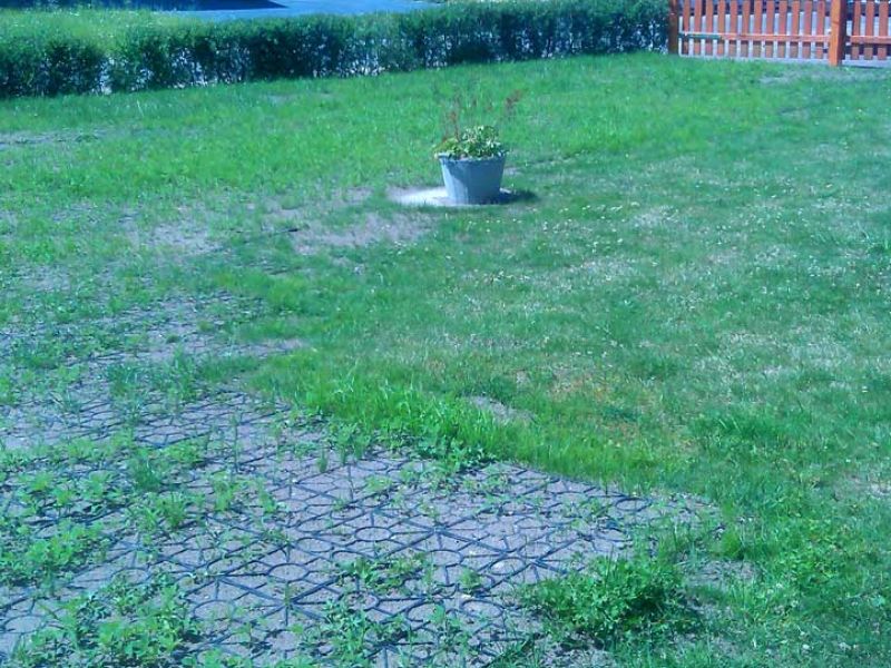 Rasengitter RG24 zur Rasenverstärkung gegen Spurrillen und Matsch im Garten