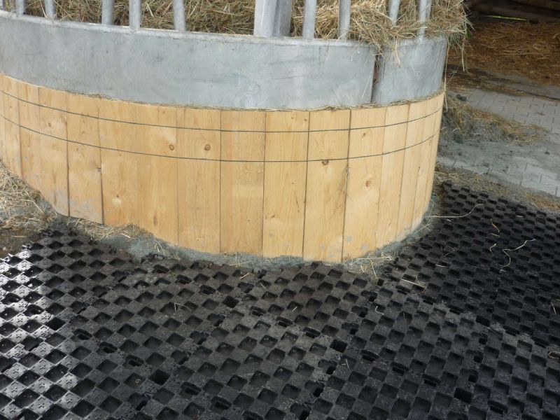 Paddockplatte pp60 für ein Profi Pferde paddock