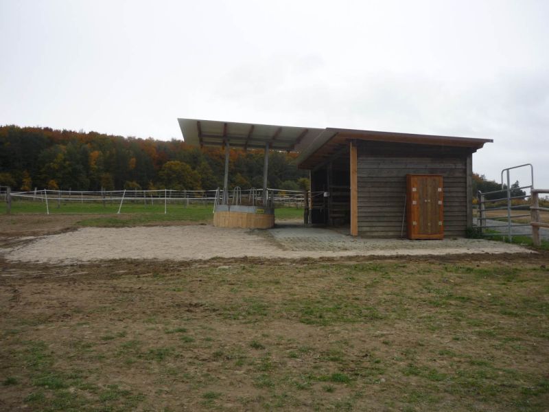 Paddockplatte pp60 für ein Profi Pferde paddock