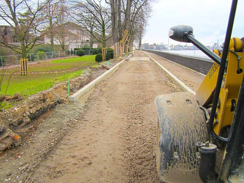 Sanierung einer Deichanlage - Wurzelschutz / Baumwurzelschutz