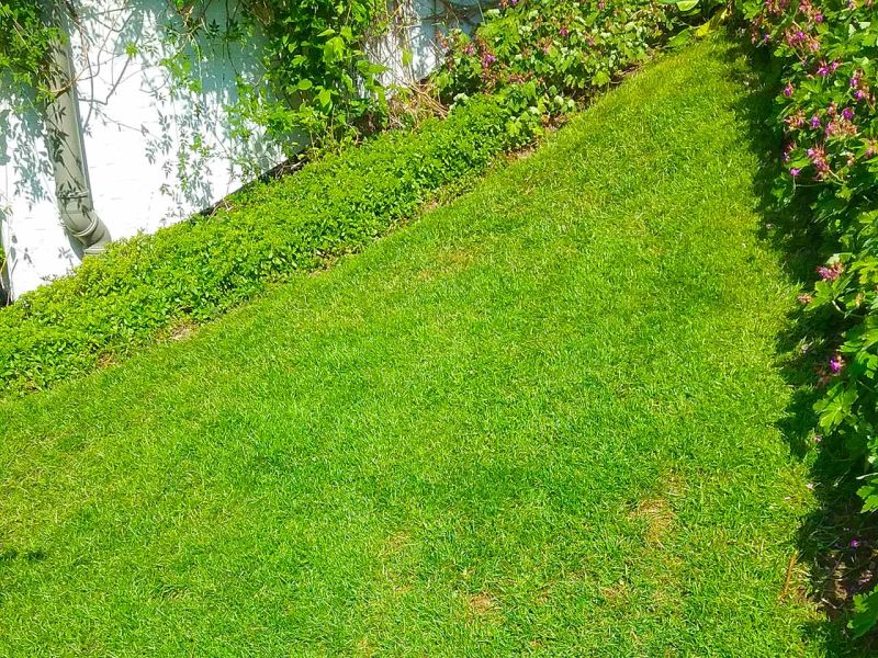 Rasennetz RN zur Rasenverstärkung und rutsch Festigkeit für einen Mähroboter