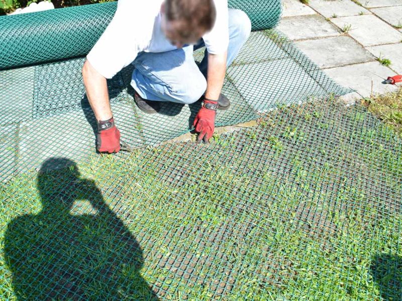 Rasennetz RN450 Wuehlschutz Buddelschutz Rasenschutz 009 referenz