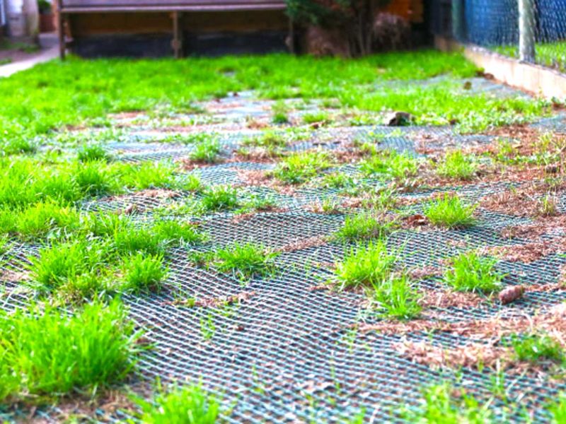 Sie möchten nicht das ihre Hunde im Garten den Rasen durchwühlen od. buddeln? Sie wollen das der Rasen ohne Löcher ist? Dann ist das Rasennetz RN zu empfehlen!