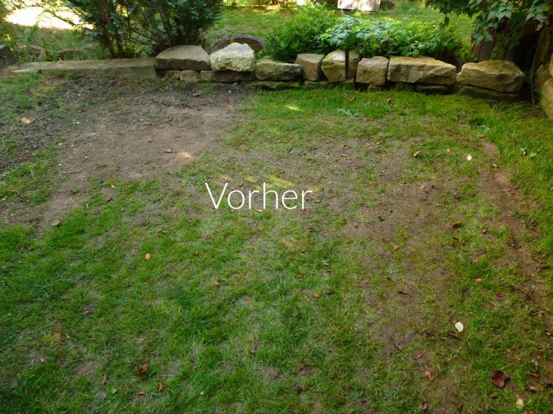 Rasennetz RN 1000 als Traktionshilfe für Mährobter in Gärten mit Hanglage