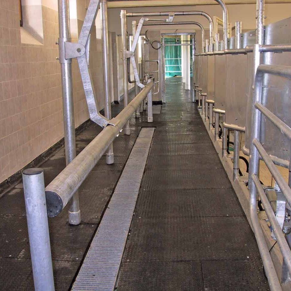 Bodenmatte als Gehfläche für Tiere in einer Halle. An den Seiten befinden sich Gestelle, die die Tiere leiten sollen.