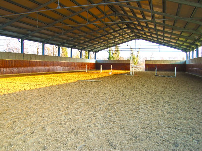 Bodengitter als Paddockplatte, Paddockgitter zur Pferdehaltung und Reitsport