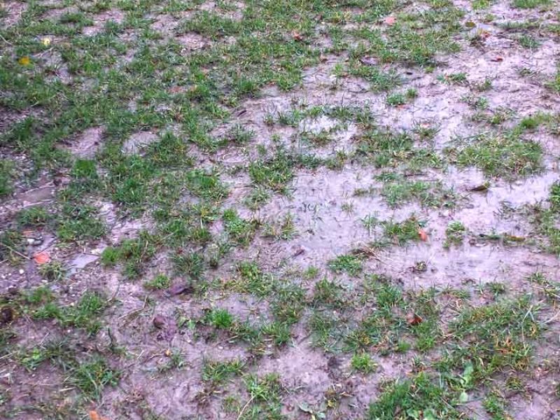 Paddockplatten ohne Unterbau selber verlegen - Paddocks ohne Matsch