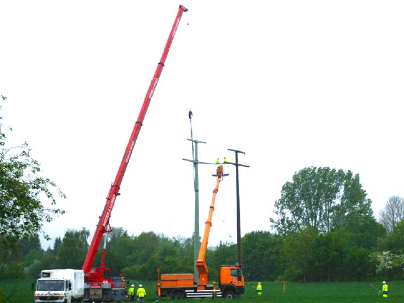 Mobile Baustraße für einen Freileitungsbau in Ulm