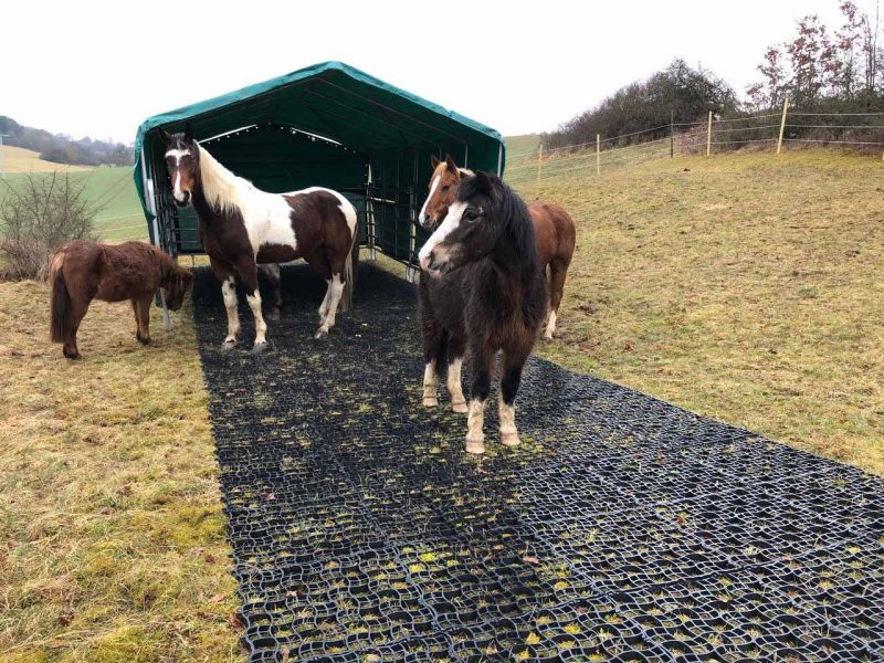 Mit dem Bodengitter BG30 einen befestigten Unterboden schaffen