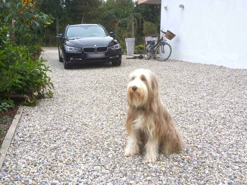 Kieswaben KW50 Kiesbefestigung Hof Einfahrt Neu 002 referenz